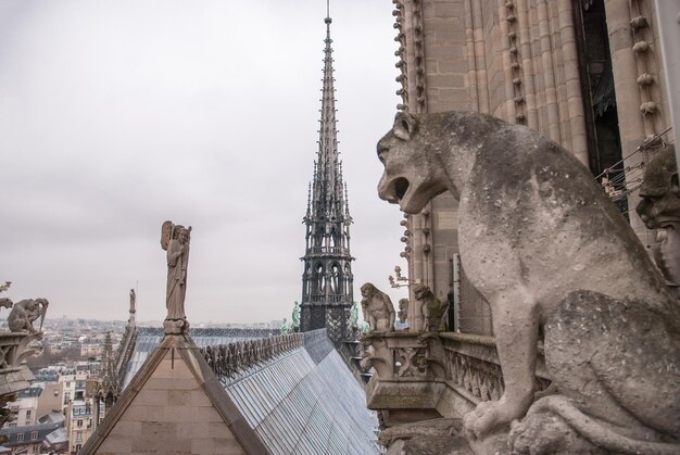 Chimère de la Cathédrale Notre Dame de Paris