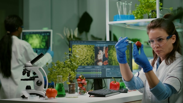 chimiste scientifique injectant des fraises avec des pesticides examinant des fruits ogm pour l'agriculture