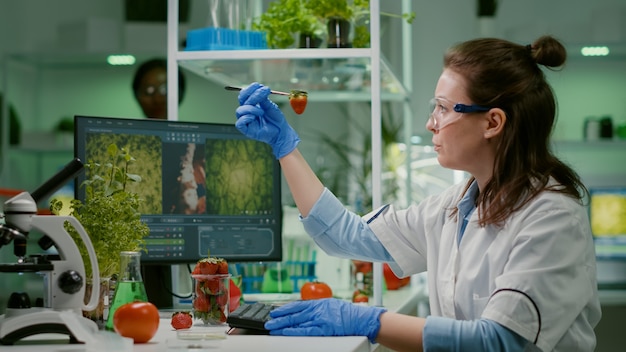 Chimiste scientifique vérifiant la fraise à l'aide d'une pince à épiler médicale travaillant dans un laboratoire de biotechnologie