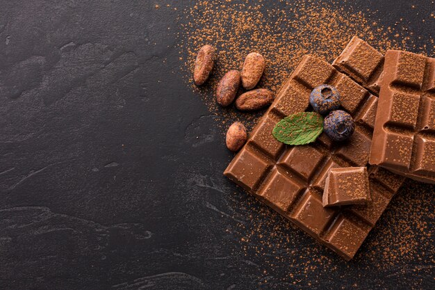 Chocolat enrobé de poudre de cacao