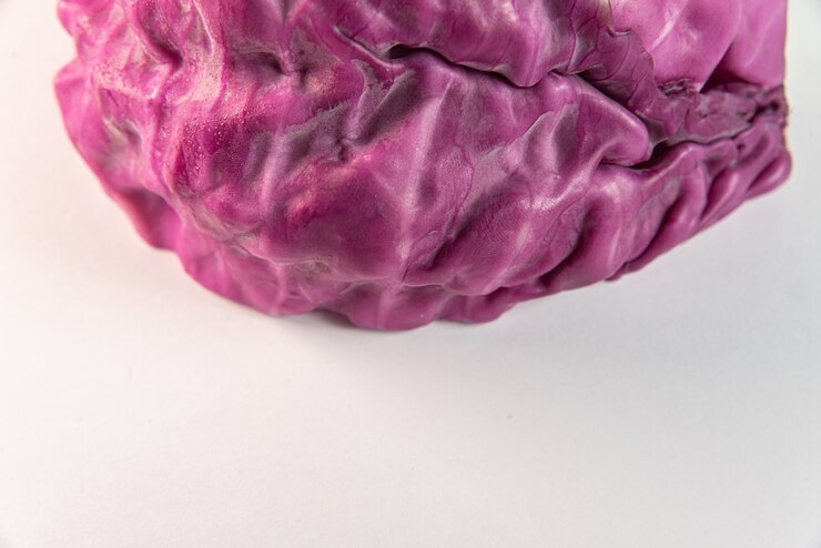 Photo gratuit chou violet sur la table