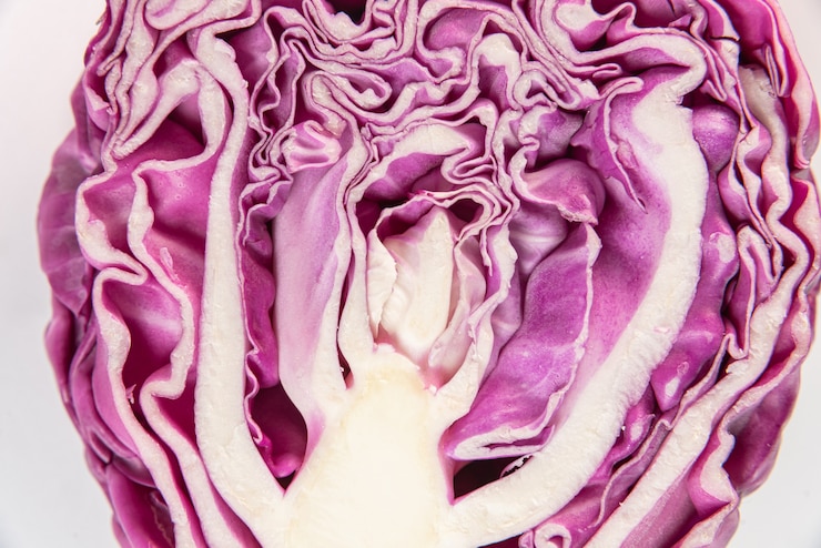 Photo gratuit chou violet sur la table