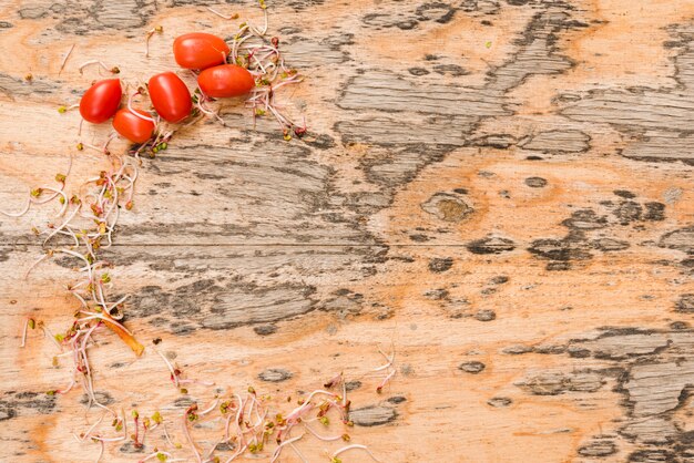 Choux et tomates sur un fond texturé en bois