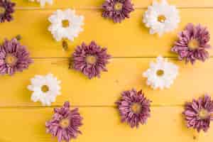 Photo gratuite chrysanthème et fleurs de marguerite blanche sur une planche en bois jaune
