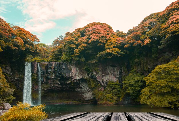 Chute d&#39;eau avec des arbres autour de