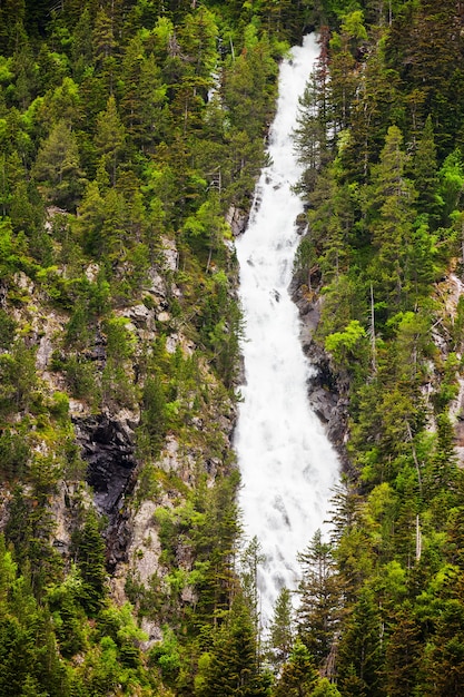 Photo gratuite chute d'eau dans les forêts de montagne