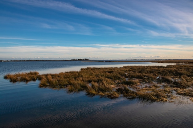 Ciel bleu clair à couper le souffle et un lac avec de l'herbe à l'intérieur