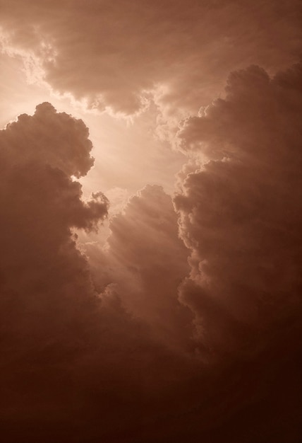 Le ciel brun de la lumière du jour de près