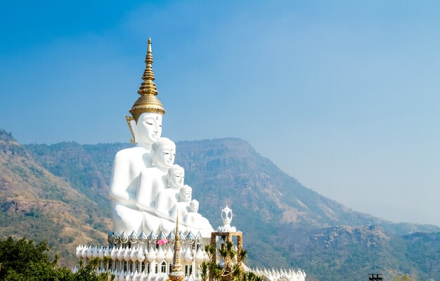 Cinq statue de Bouddha