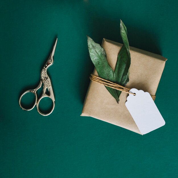 Ciseaux d&#39;argent antique; cadeau enveloppé avec des feuilles et une étiquette sur fond vert