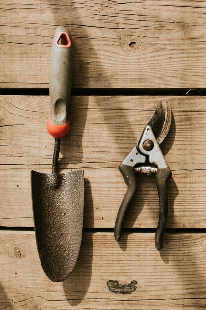 Ciseaux de jardinage et truelle sur un flatlay en bois