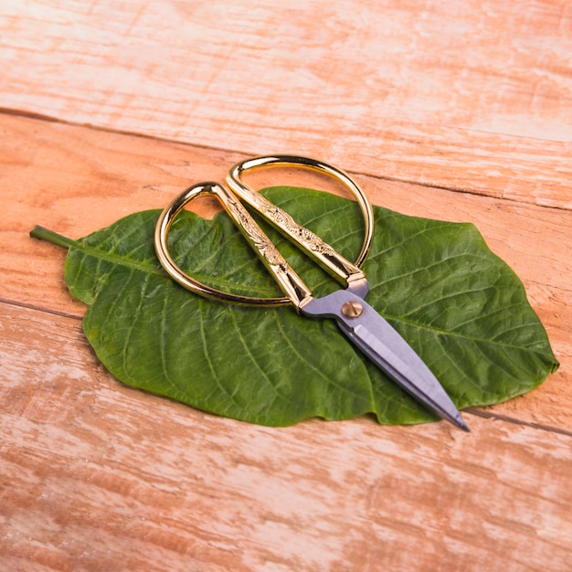 Ciseaux D'or Avec Feuille Verte