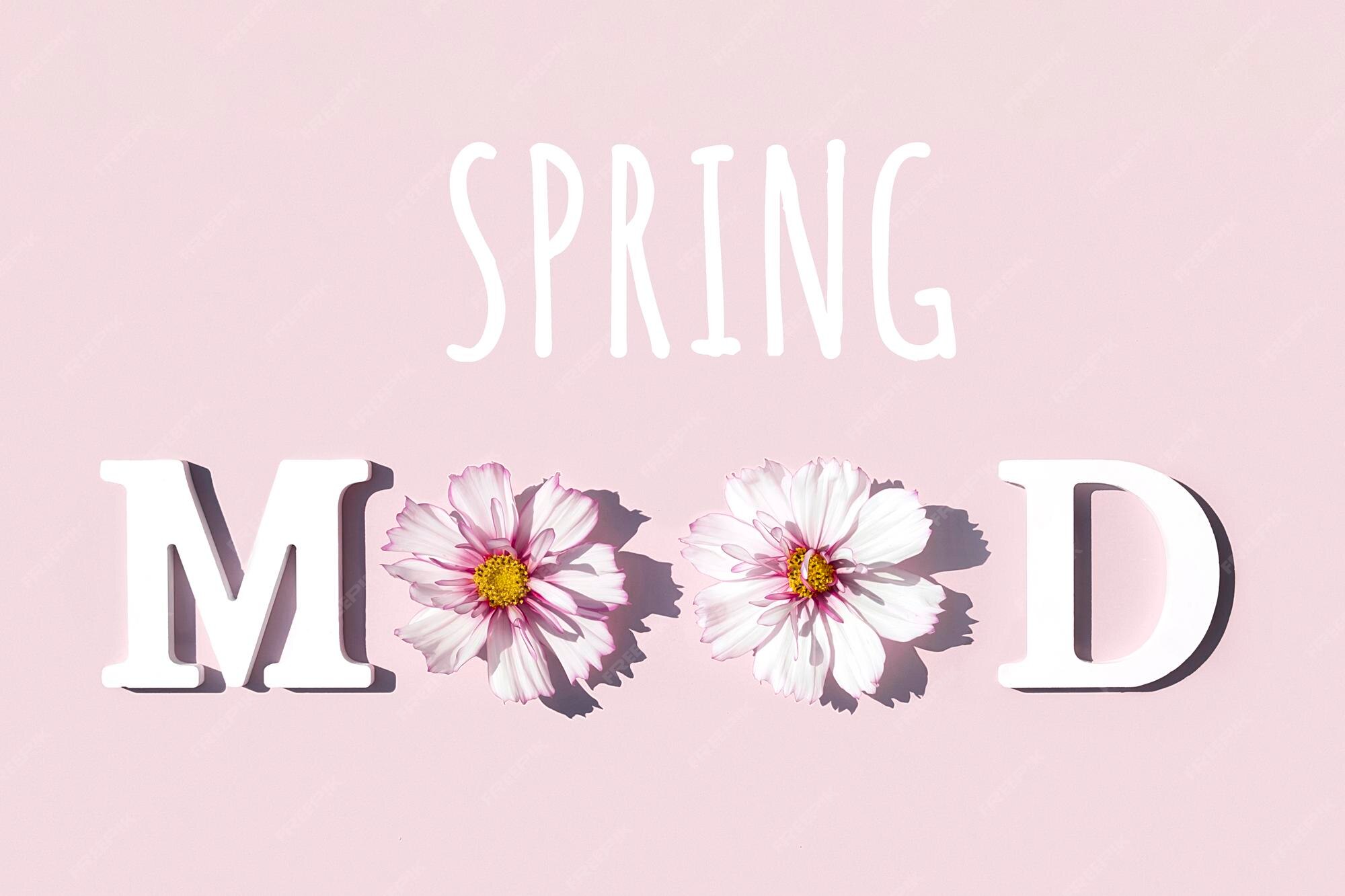 Citation De Motivation De L Humeur Du Printemps A Partir De Lettres Blanches Et De Fleurs Naturelles De Beaute Sur Fond Rose Concept Creatif Printemps Photo Premium