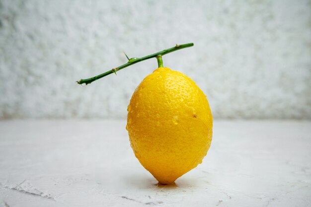 Citron avec branche sans feuilles sur fond texturé blanc, vue latérale.