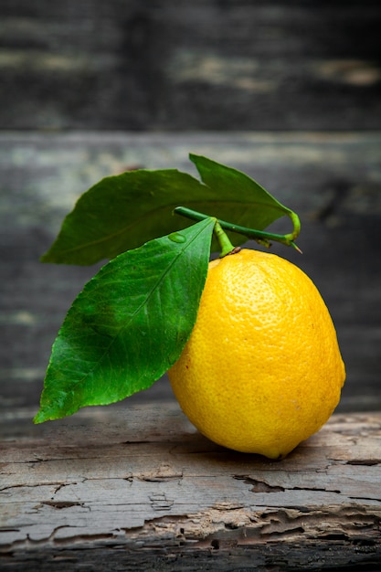 Citron avec des feuilles sur fond de bois foncé, vue latérale.