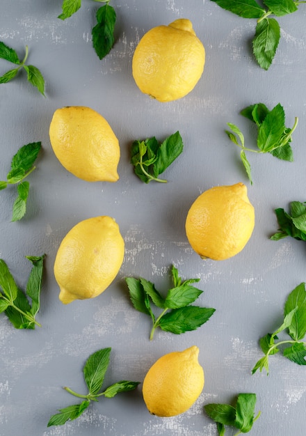 Citrons avec des feuilles de menthe à plat sur une surface en plâtre