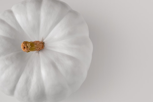 Photo gratuite citrouille blanche avec fond blanc nature morte