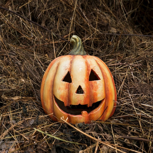 Citrouille découpée sur des feuilles séchées