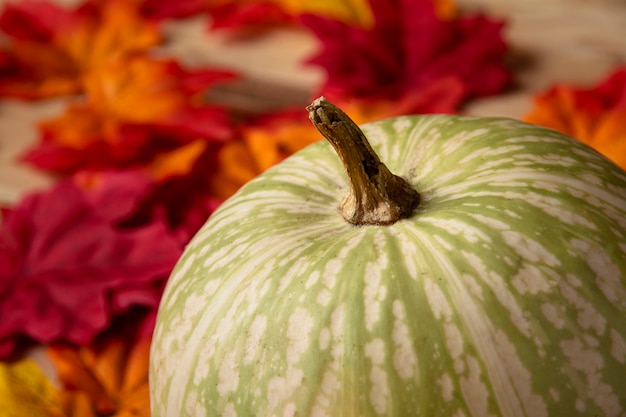 Citrouille verte se bouchent