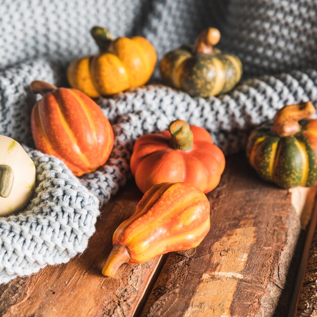 Citrouilles à angle élevé sur une table et une couverture en bois