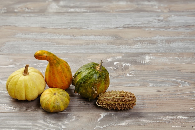 Citrouilles authentiques sur table en bois