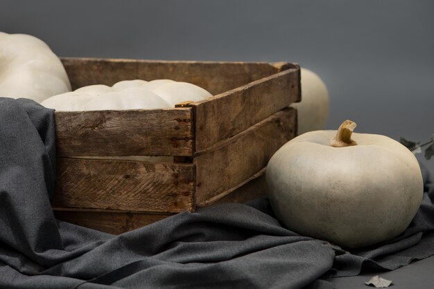 Citrouilles blanches avec arrangement de boîte