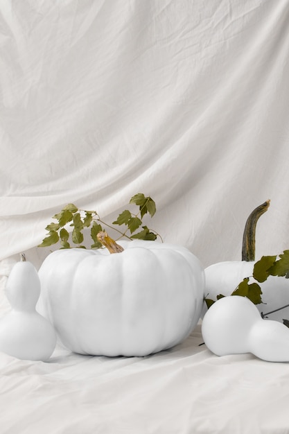 Photo gratuite citrouilles blanches sur arrangement de tissu