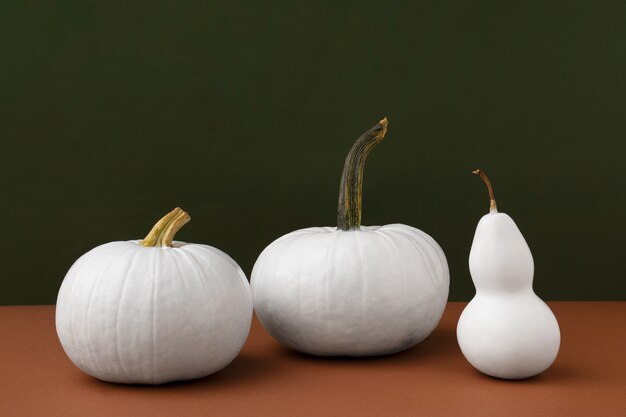 Photo gratuite citrouilles blanches avec fond marron et vert