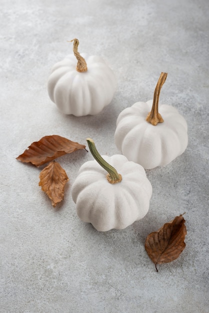 Photo gratuite citrouilles et feuilles blanches à angle élevé