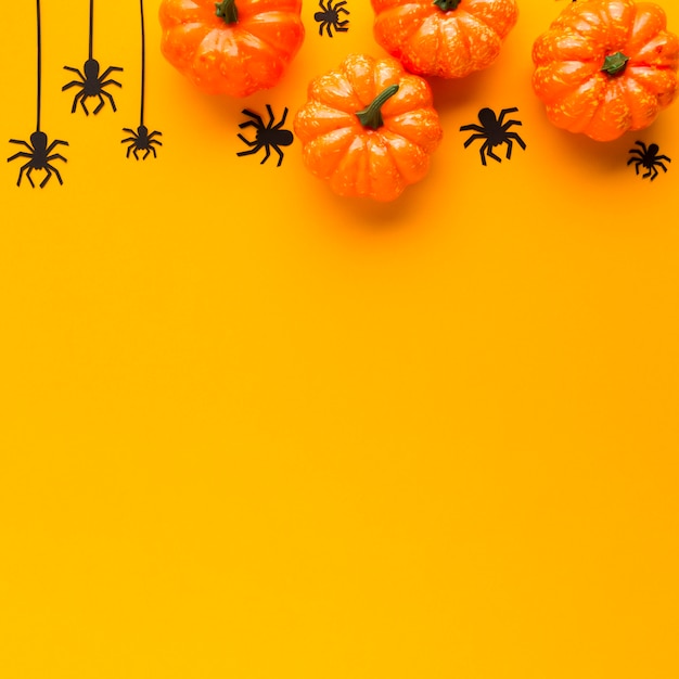 Photo gratuite citrouilles d'halloween décoration vue de dessus