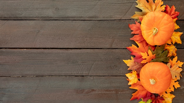 Citrouilles orange sur des feuilles colorées avec espace de copie