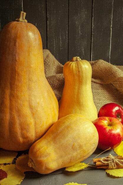 Citrouilles sur planche de bois