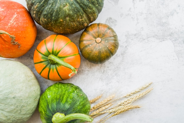 Citrouilles sur table avec du blé