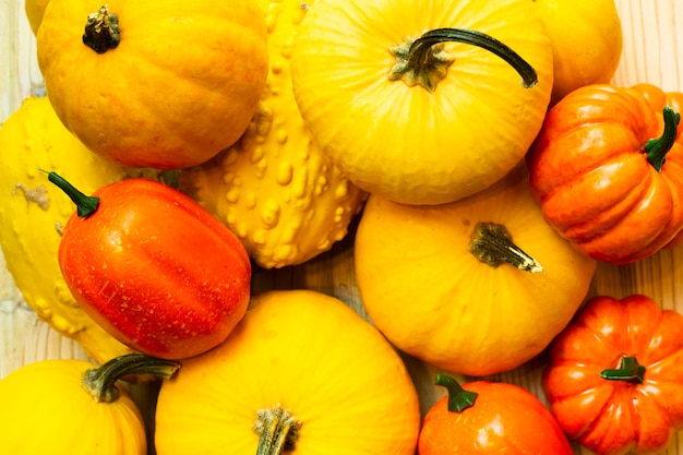 Citrouilles vue de dessus avec fond en bois