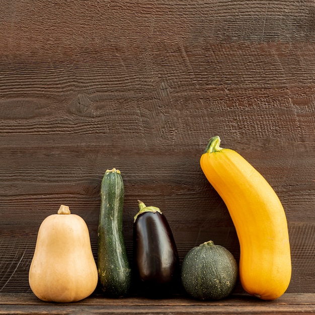 Citrouilles vue de face de différentes tailles