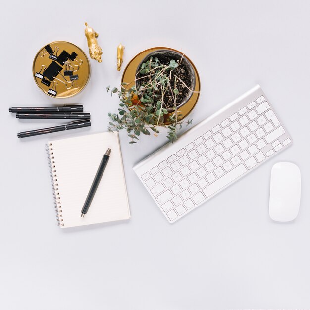 Clavier; Souris; showplant avec statue animalière dorée et papeterie sur fond blanc