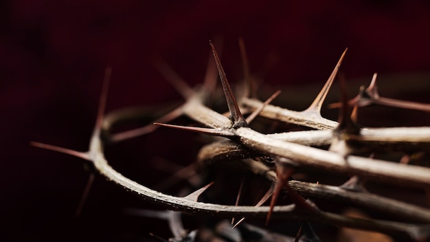 Close up couronne d'épines nature morte