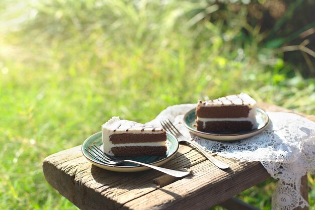 Close-up de deux plaques avec un morceau de gâteau