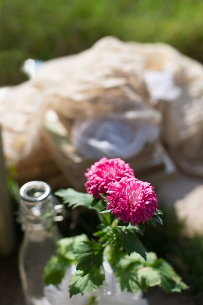 Photo gratuite close-up de la fleur dans une bouteille