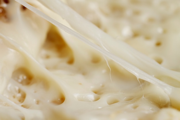 Close--up de fromage fondu