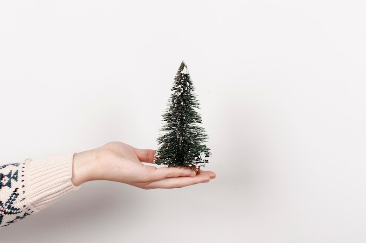 Photo gratuit close-up girl avec fond blanc tenant le sapin