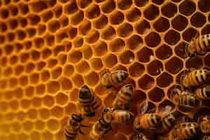 Photo gratuite close up honeycomb avec abeille et miel ai génératif