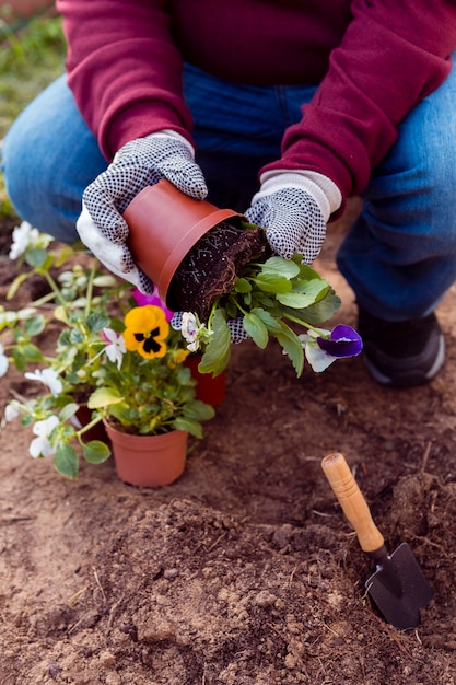 Photo gratuite close-up jardinier planter des fleurs dans le sol