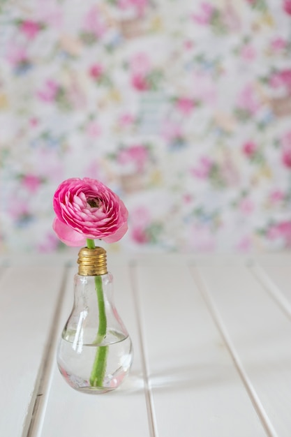 Photo gratuite close-up de la jolie fleur rose