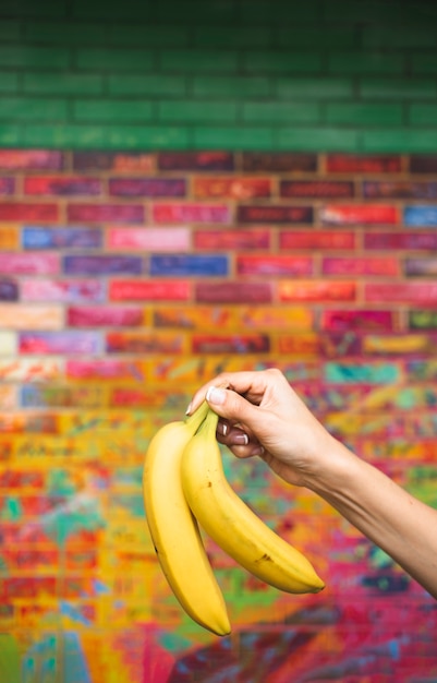 Close-up personne brandissant des fruits