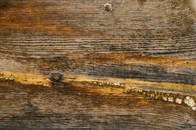 Close-up de la planche de bois avec des clous