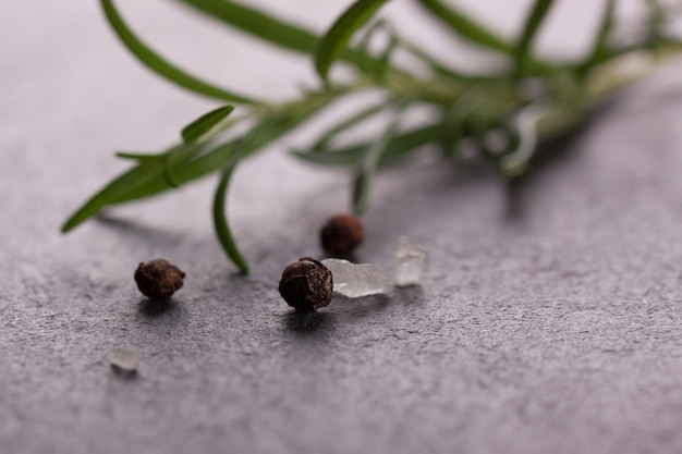 Close-up de la plante aromatique