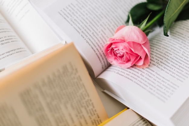Close-up rose sur les livres ouverts