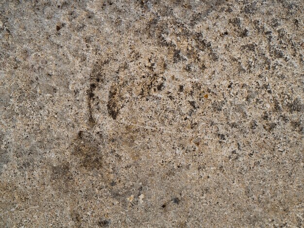 Close-up surface de paroi rocheuse