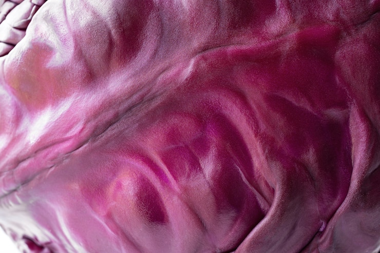 Photo gratuit close-up texture de chou rouge
